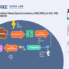Tandem Mass Spectrometry MS/MS process in GC-MS analysis flowchart showing gas chromatography, ionization, mass analyzer, and mass spectrum